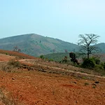 Raisil Picnic & Scenic Spot