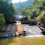 Ridekoraput