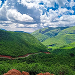 Ridekoraput